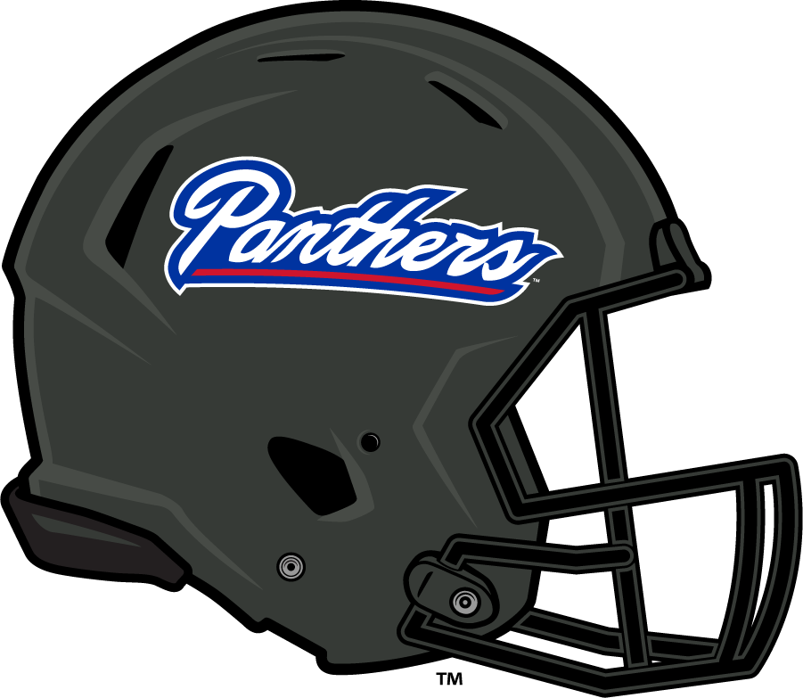 Georgia State Panthers 2013 Helmet diy DTF decal sticker